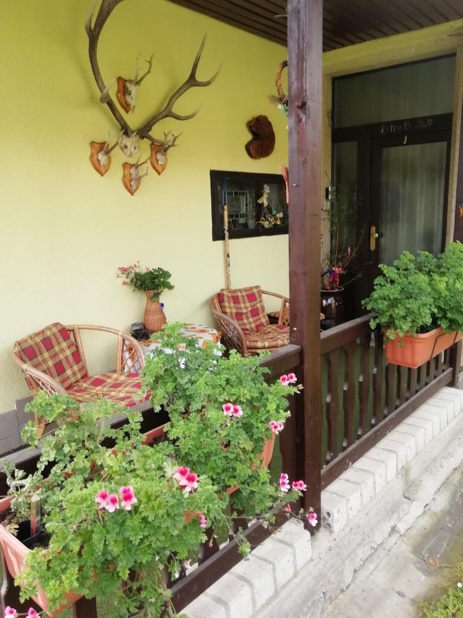 Pension u Josefa Kostalov Extérieur photo